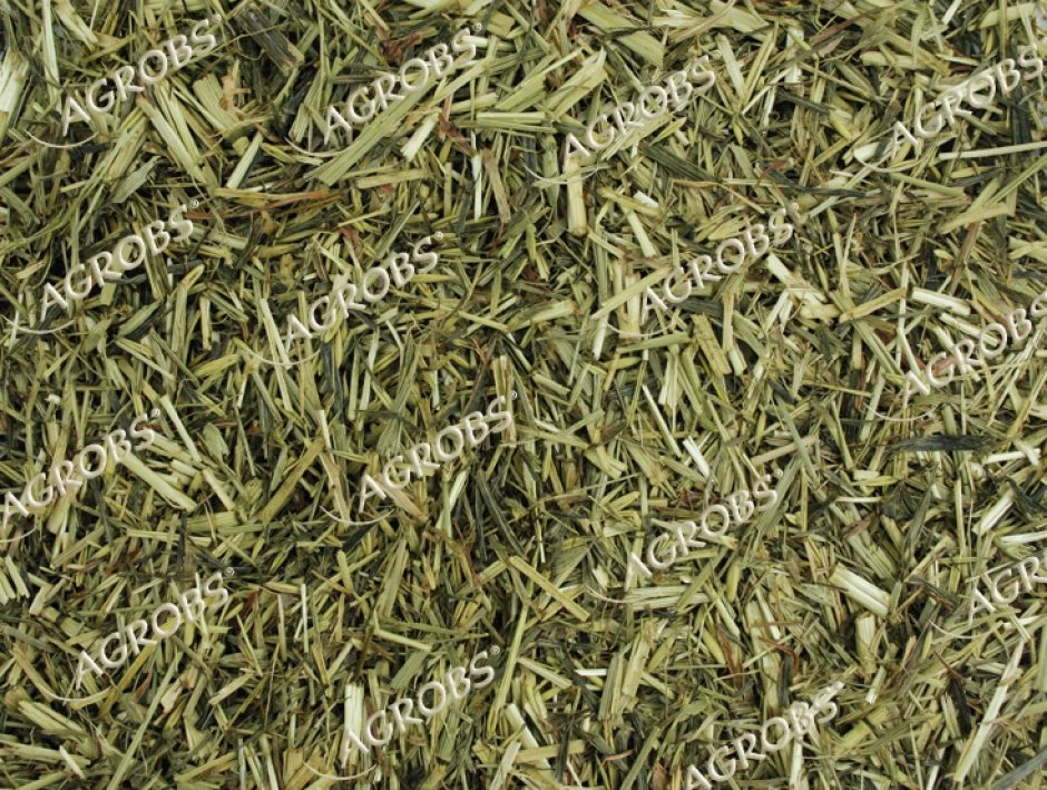 Agrobs Grünhafer 15kg 4 Agrobs Grünhafer 15kg – Bild 2