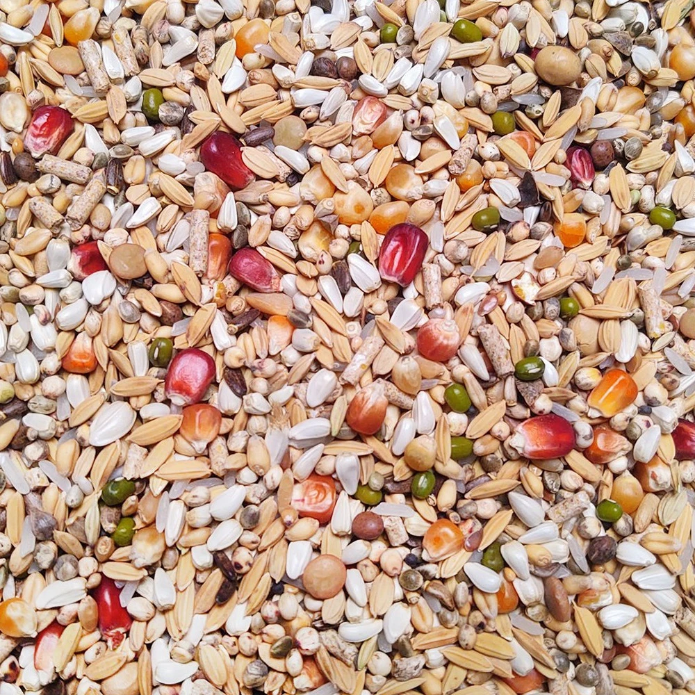 Vanrobaeys Nr.57 Sport Light Pro - Revolution 20kg 3 Vanrobaeys Nr.57 Sport Light Pro - Revolution 20kg