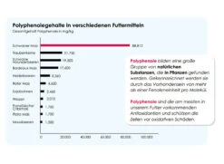 Versele Master R Exclusiv 20kg -Bestes Tiernahrungs Geschäft antioxidantien 12