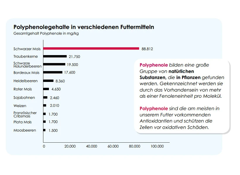Versele Start Plus I.C.⁺ 20kg 5 Versele Start Plus I.C.⁺ 20kg – Bild 3