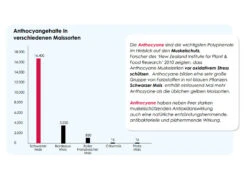 Versele Master Witwer 20kg 9 Versele Master Witwer 20kg -Bestes Tiernahrungs Geschäft antioxidantien 21