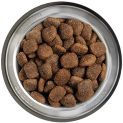 Belcando Adult Power 2er-Pack 25kg 7 Belcando Adult Power 2er-Pack 25kg -Bestes Tiernahrungs Geschäft belcando napf adult power 800x8000