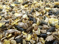 Havens Cool-Mix 20kg 7 Havens Cool-Mix 20kg -Bestes Tiernahrungs Geschäft coolmix