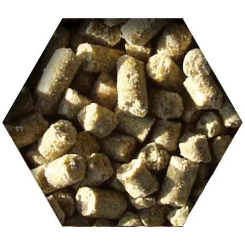 Beyers Goldcorn Koopman 2,5kg 4 Beyers Goldcorn Koopman 2,5kg – Bild 2