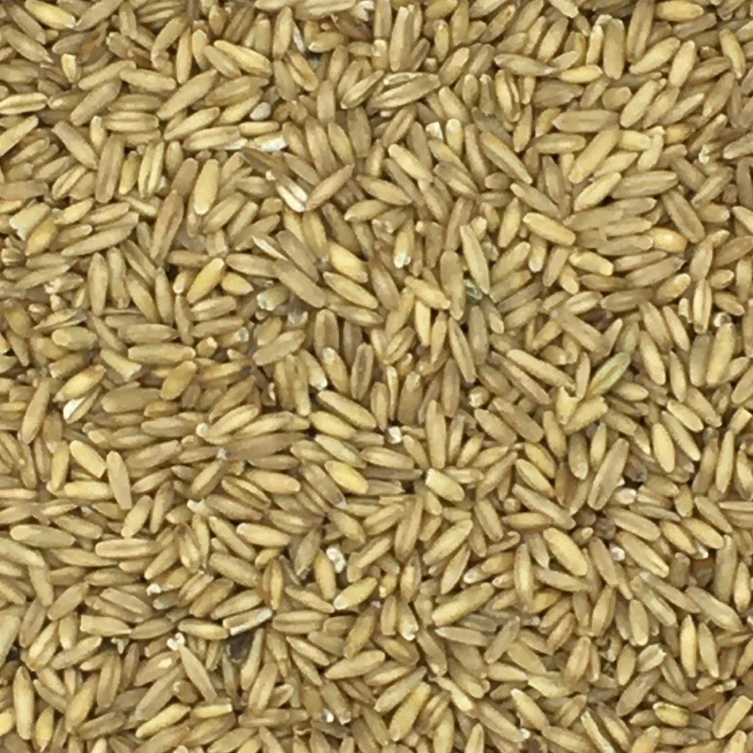 Haferkerne - Vanrobaeys 25kg 3 Haferkerne - Vanrobaeys 25kg