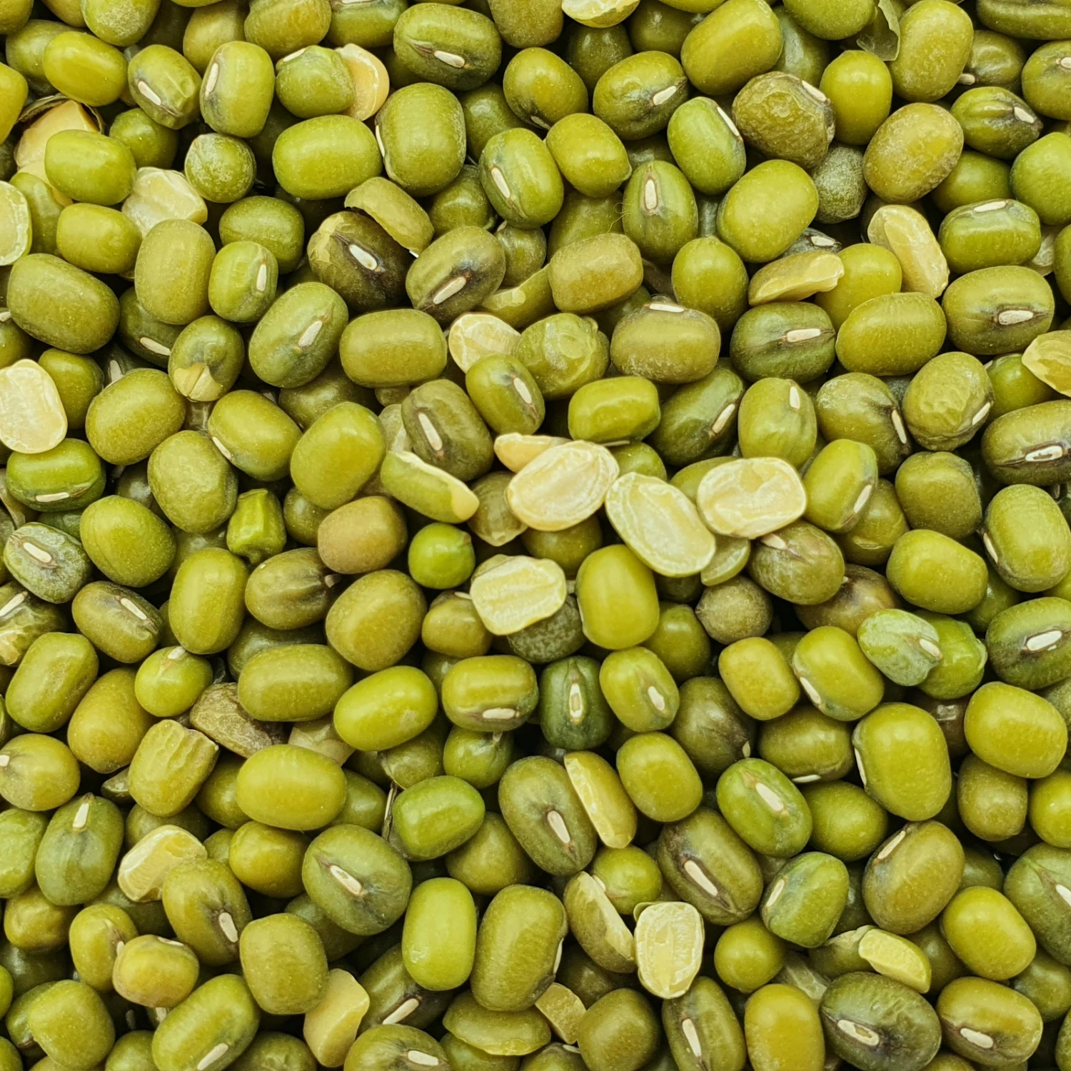 Katjangbohnen - Vanrobaeys 25kg