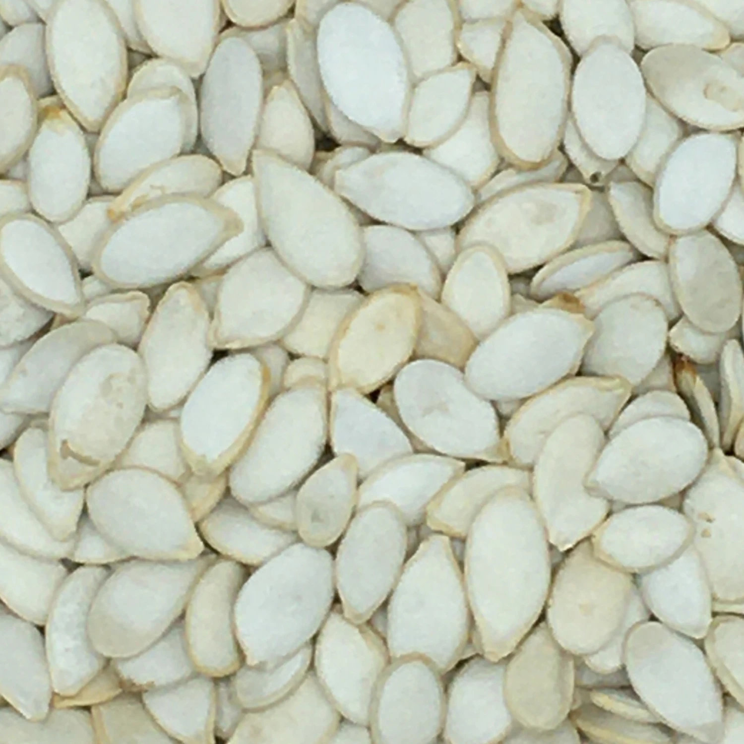 Kürbiskerne Weiß - Gladen 2,5kg