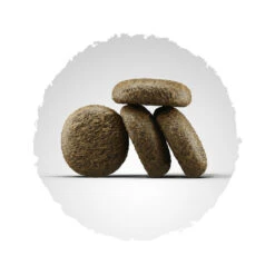 Josera Lachs&Kartoffel 2er-Pack 30kg -Bestes Tiernahrungs Geschäft kroketten lachs and kartoffel2