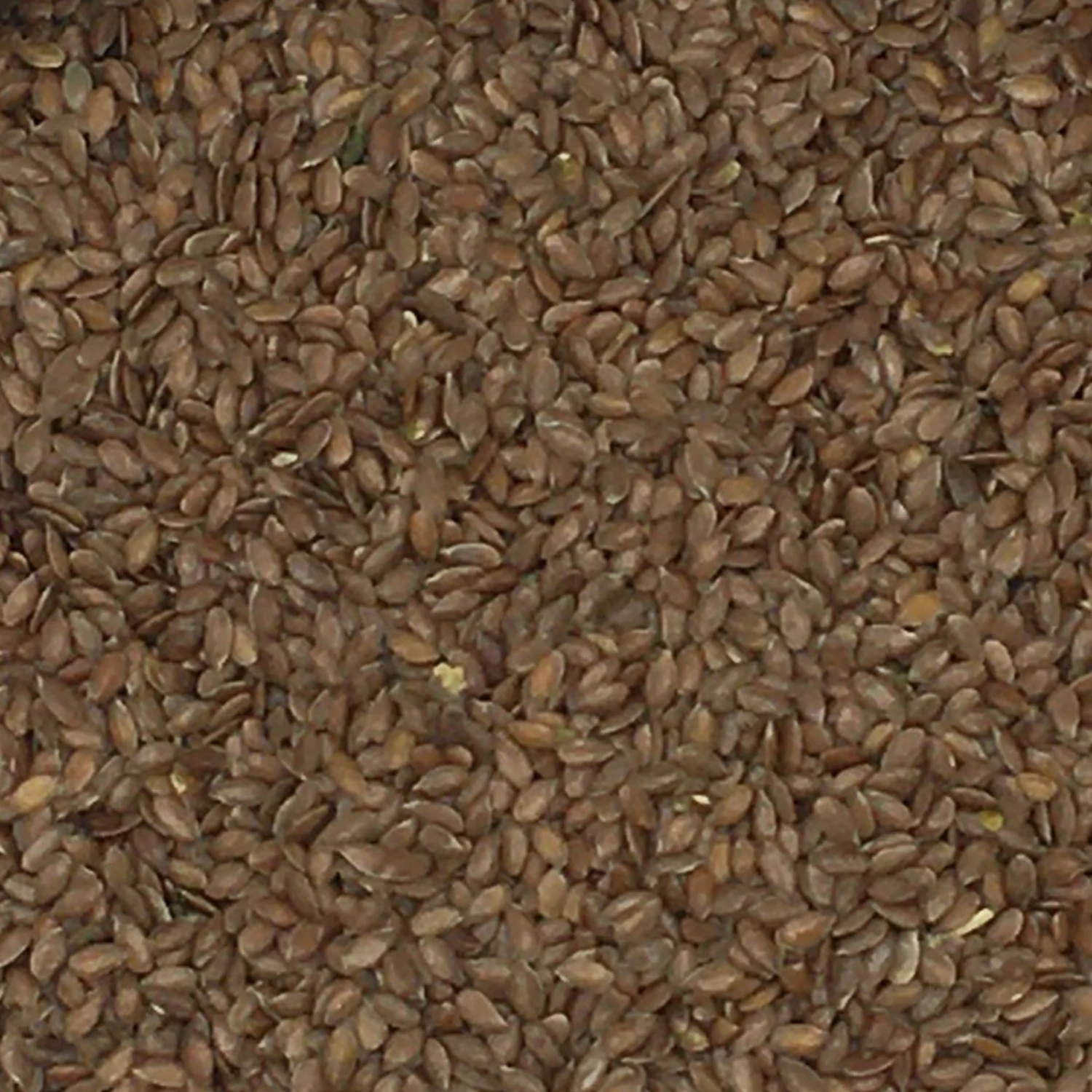 Leinsamen Braun - Vanrobaeys 20kg