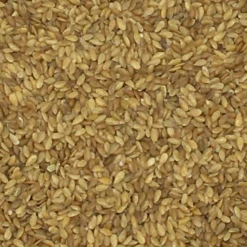 Leinsamen Gelb - Vanrobaeys 25kg