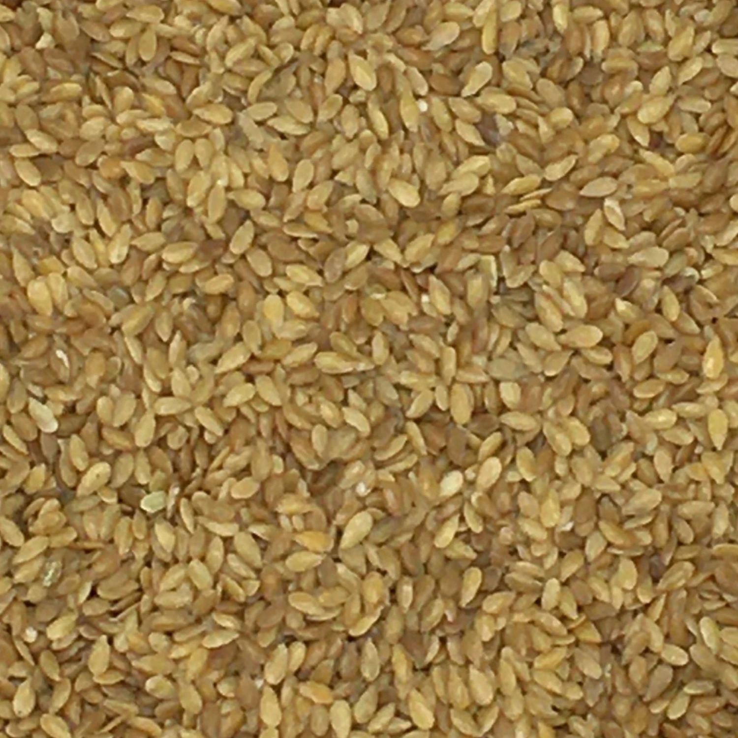 Leinsamen Gelb - Vanrobaeys 25kg 3 Leinsamen Gelb - Vanrobaeys 25kg