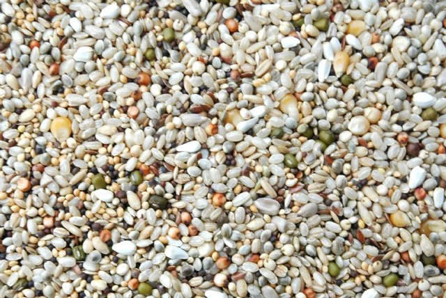 Matador Boarding Mix 20kg 3 Matador Boarding Mix 20kg