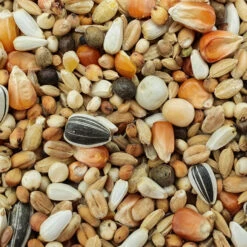 Matador Jungtauben Reise 25kg