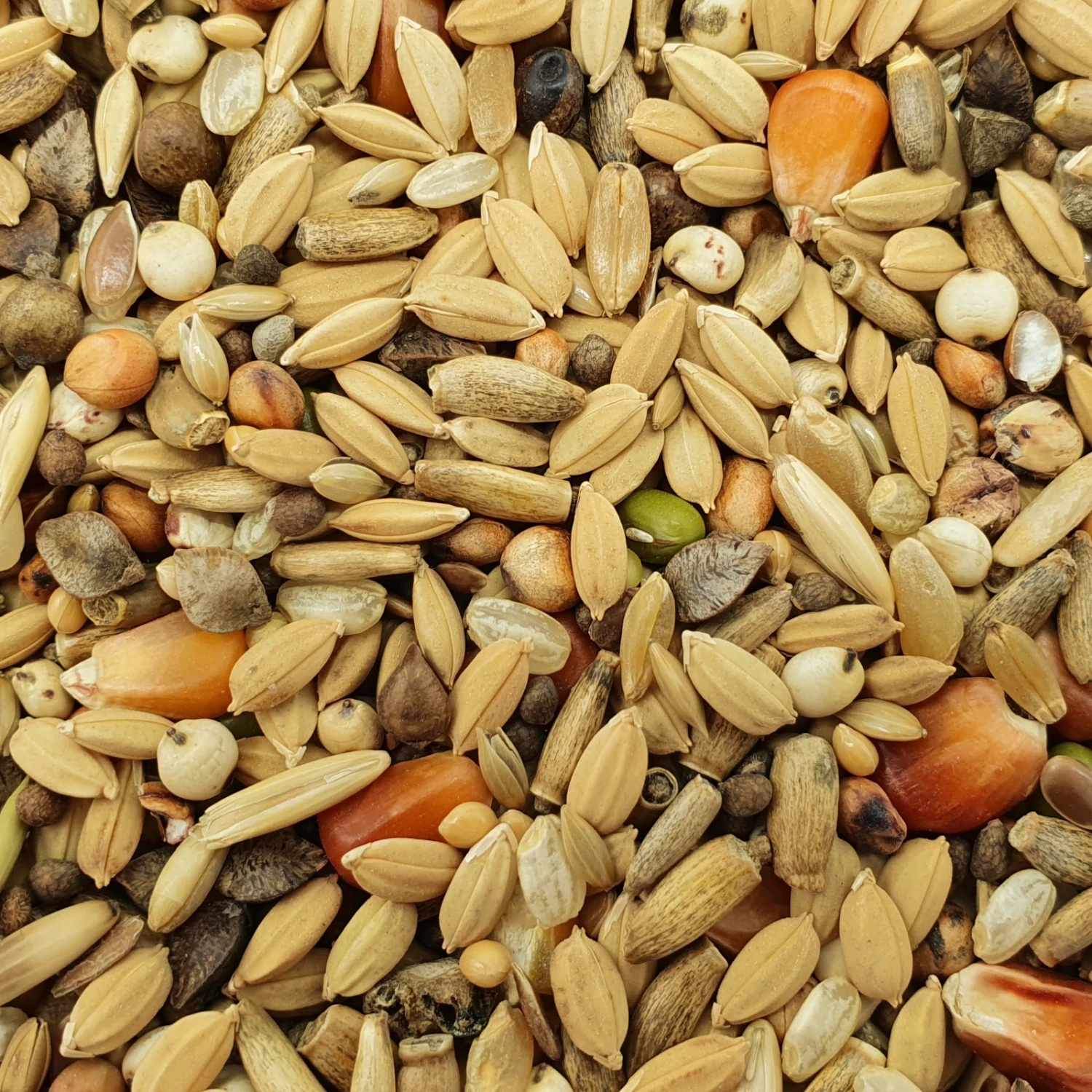 Matador Premium Detox 10kg 3 Matador Premium Detox 10kg