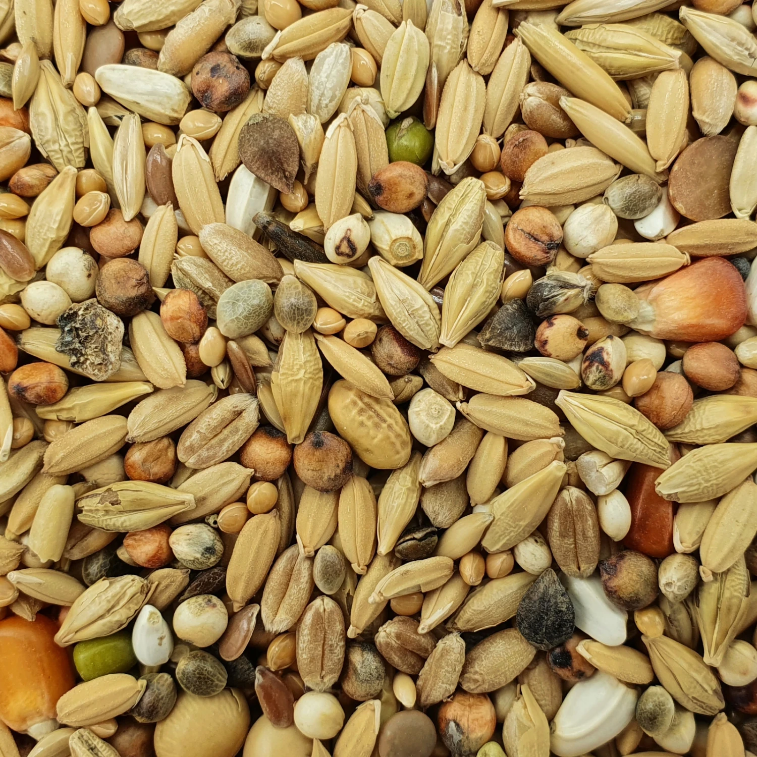 Matador Premium Start 25kg 3 Matador Premium Start 25kg