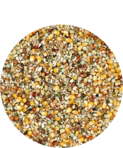 Versele Reise Active Life 25kg