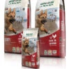 Bewi Dog Sport 25kg 1 Bewi Dog Sport 25kg -Bestes Tiernahrungs Geschäft rs2801 bd sport gruppe frei 130903 mg