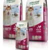 Bewi Dog H-Energy 25kg 1 Bewi Dog H-Energy 25kg -Bestes Tiernahrungs Geschäft rs2811 bd h energy gruppe 130903 mg