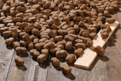 Bewi Dog Junior 12,5kg 8 Bewi Dog Junior 12,5kg -Bestes Tiernahrungs Geschäft rs2899 junior kroketten lineal img 1767b klein