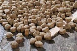 Bewi Dog Balance 12,5kg 8 Bewi Dog Balance 12,5kg -Bestes Tiernahrungs Geschäft rs2902 balance kroketten lineal img 1797b klein1