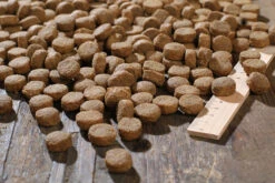 Bewi Dog Basic 25kg 8 Bewi Dog Basic 25kg -Bestes Tiernahrungs Geschäft rs2904 basic kroketten lineal img 1775b klein2