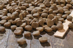 Bewi Dog Sport 25kg 8 Bewi Dog Sport 25kg -Bestes Tiernahrungs Geschäft rs2909 sport kroketten lineal img 1786b klein