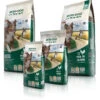 Bewi Dog Basic 25kg 1 Bewi Dog Basic 25kg -Bestes Tiernahrungs Geschäft rs2960 bd basic gruppe frei 130903 mg3