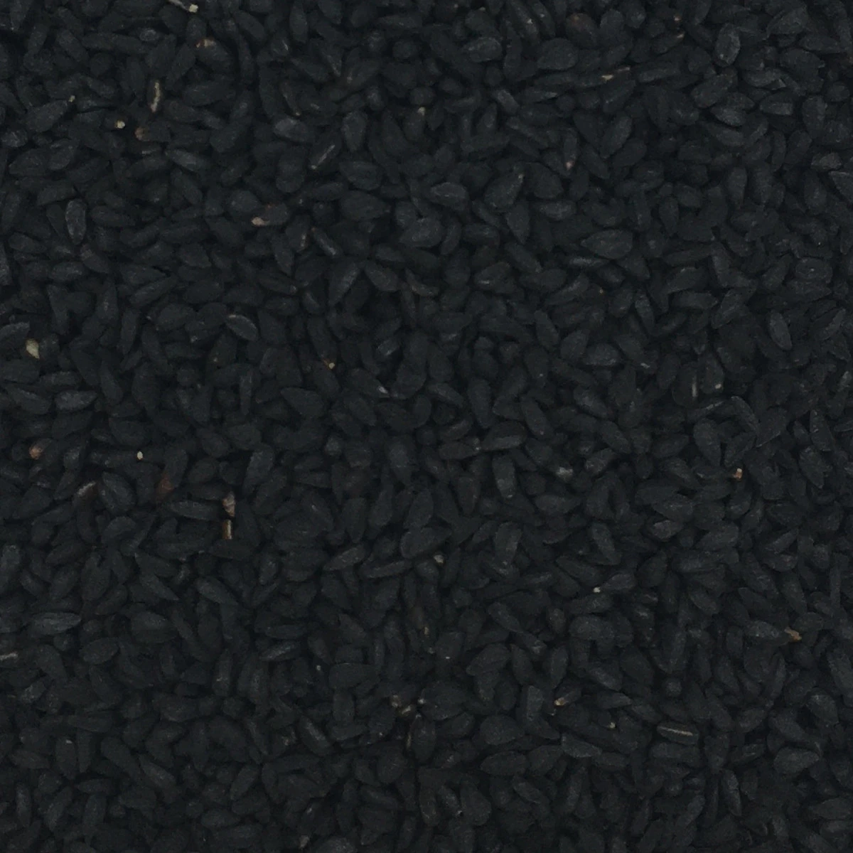 Schwarzkümmelsaat - Gladen 2,5kg