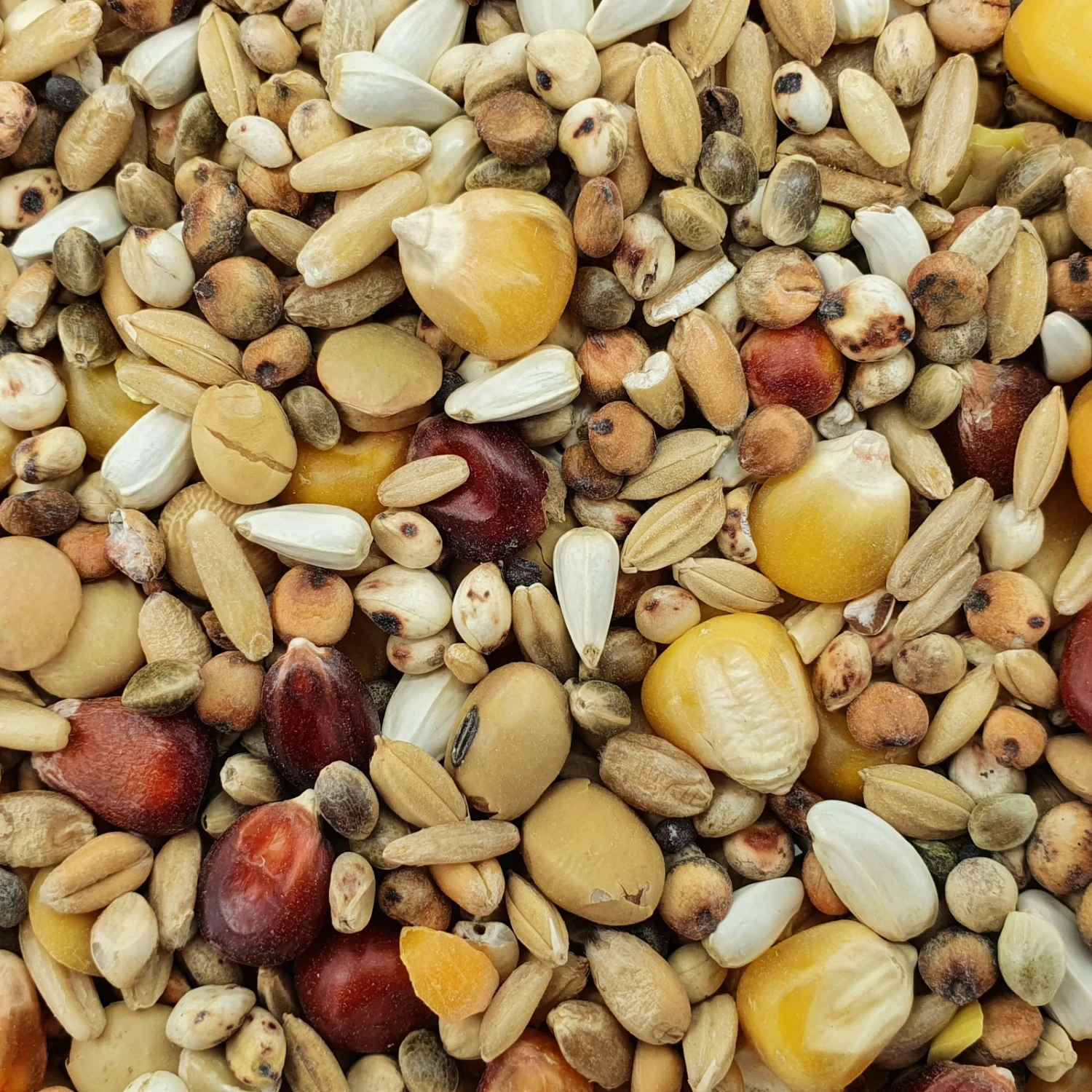 Spinne Top Energy 25kg 3 Spinne Top Energy 25kg