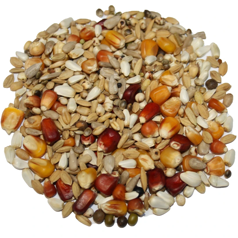 Beyers Galaxy Sport Light 20kg 3 Beyers Galaxy Sport Light 20kg