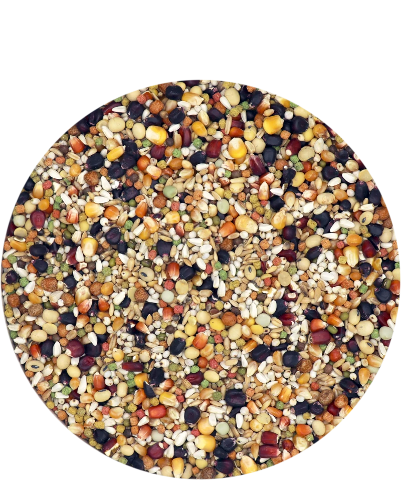 Versele Superstar Plus IC+ Black Label 20kg 3 Versele Superstar Plus IC+ Black Label 20kg