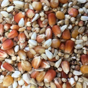 Spinne Tollisan Forte 25kg 3 Spinne Tollisan Forte 25kg