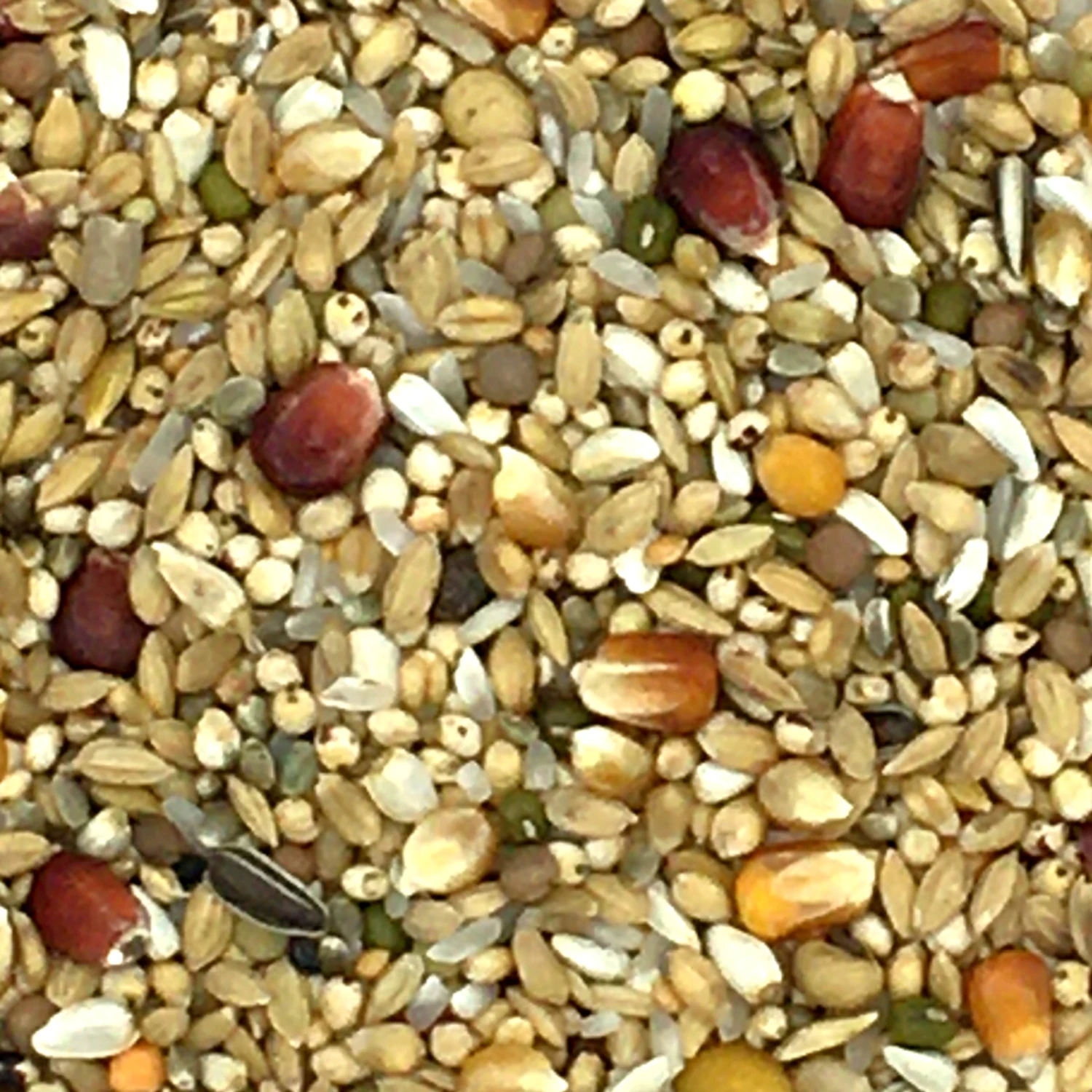 Vanrobaeys Nr.183 Relax Premium Power 20kg 3 Vanrobaeys Nr.183 Relax Premium Power 20kg