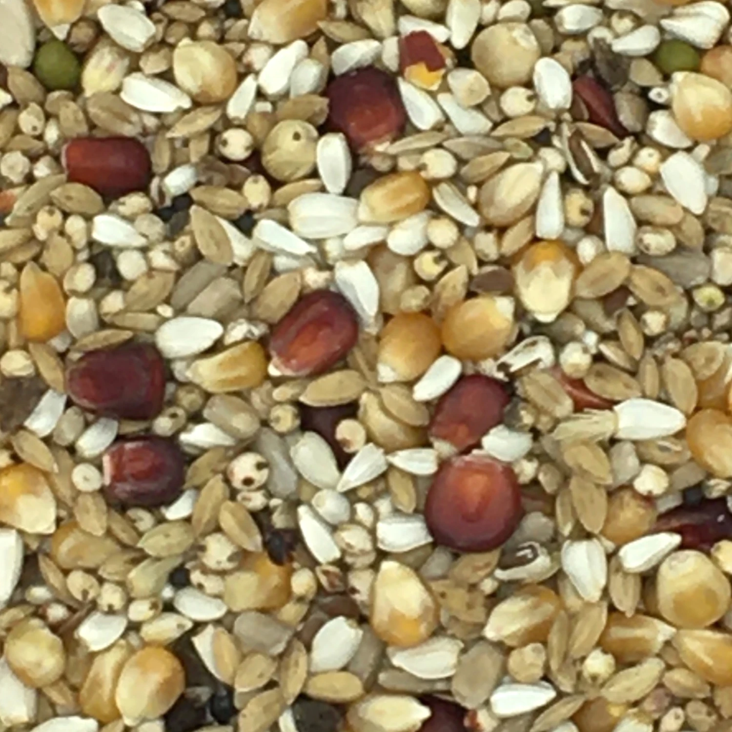 Vanrobaeys Nr.523 Platteeuw Spezial 20kg 3 Vanrobaeys Nr.523 Platteeuw Spezial 20kg