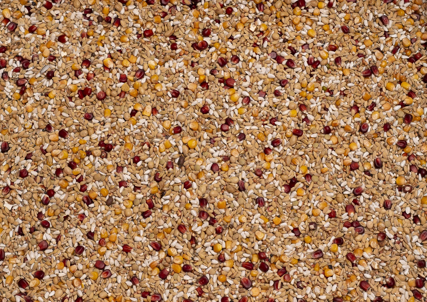 Beyers Premium Enzymix Relax 25Kg 3 Beyers Premium Enzymix Relax 25Kg