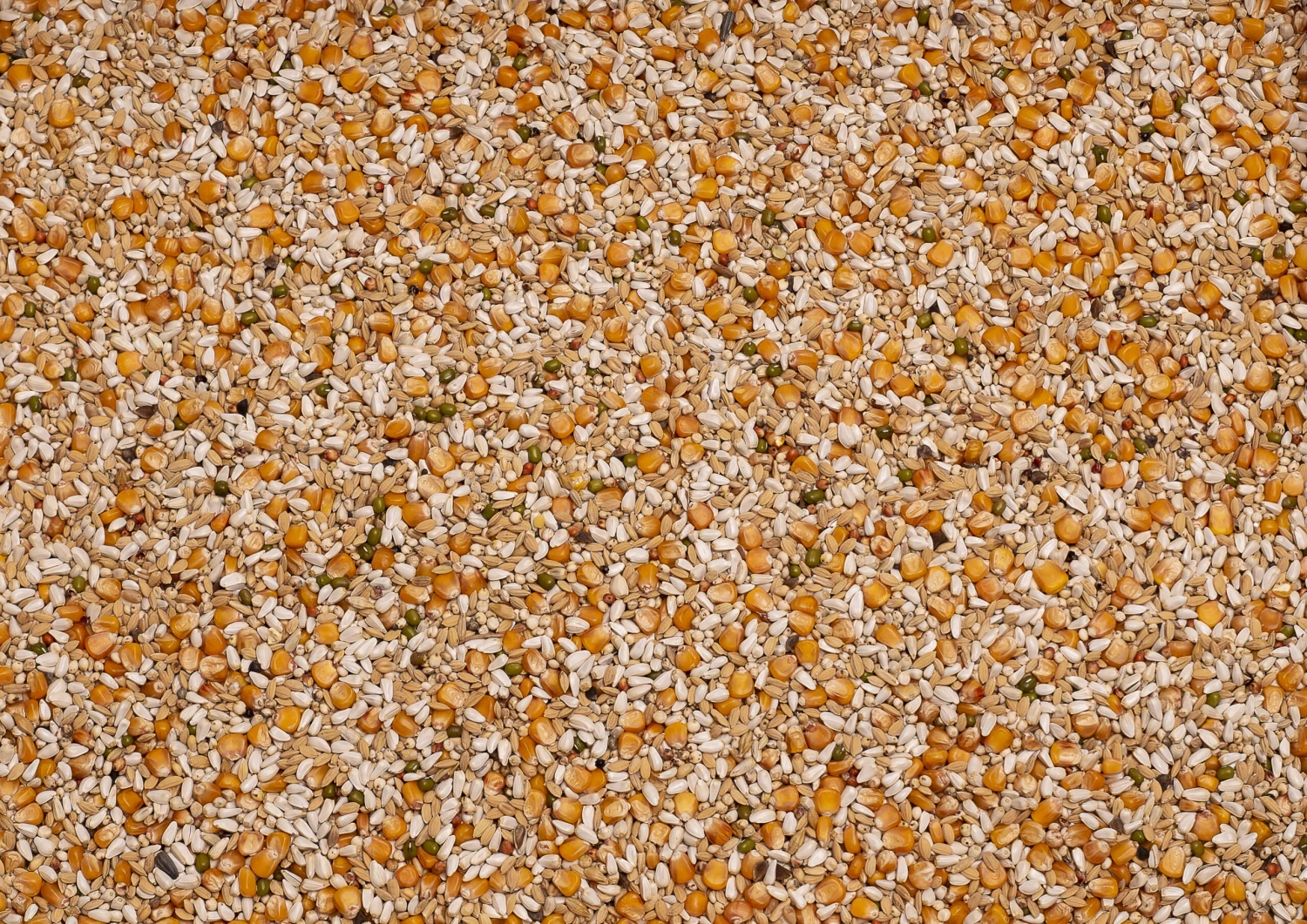 Beyers Premium Vandenabeele 20Kg 3 Beyers Premium Vandenabeele 20Kg