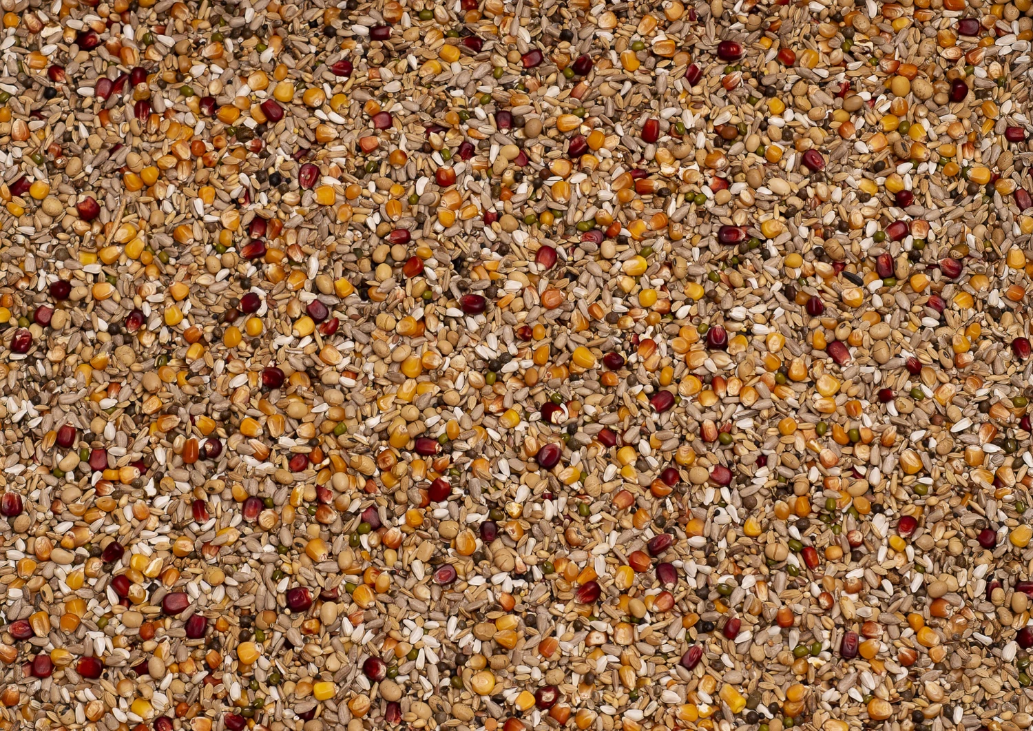 Beyers Galaxy Sport Energy 20kg 3 Beyers Galaxy Sport Energy 20kg